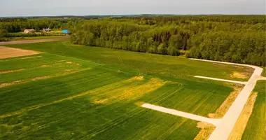 Terrain dans Konarskie, Pologne