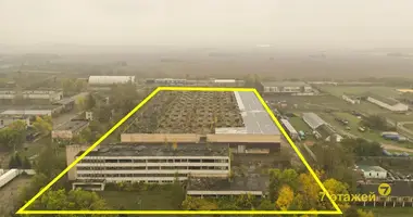 Produktion 5 638 m² in Losnica, Weißrussland