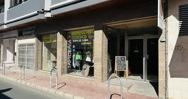 Gewerbefläche in Torrevieja, Spanien