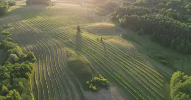 Plot of land in Drageliskes, Lithuania