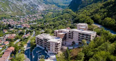 3 bedroom apartment in Skaljari, Montenegro