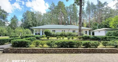 Commercial property 108 m² in Liasnianski sielski Saviet, Belarus