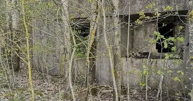 House in Piliakalniai, Lithuania