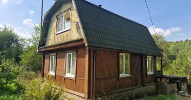 House in Rakauski sielski Saviet, Belarus