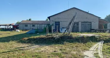 Fabrication 437 m² dans Jabinka, Biélorussie