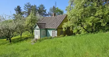 Dom w Wilki, Litwa