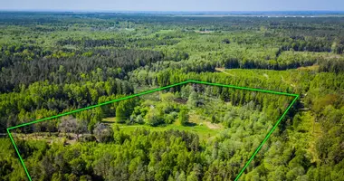 Plot of land in Drumulis, Lithuania