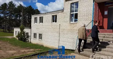 Commercial property 503 m² in Orsha, Belarus