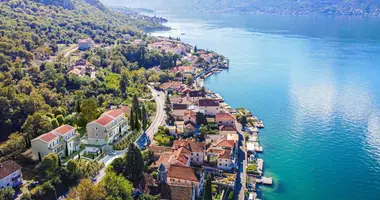 1 bedroom apartment in Dobrota, Montenegro