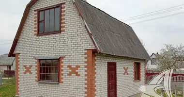 House in Skoki, Belarus