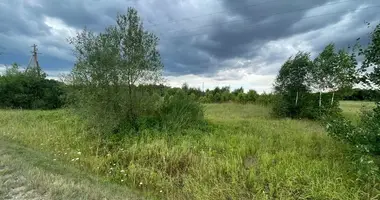 Terrain dans Isorai, Lituanie