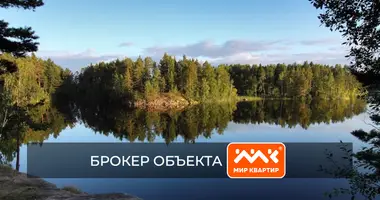 Участок земли в Кузнечнинское городское поселение, Россия