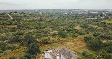 Участок земли в Conceicao e Estoi, Португалия