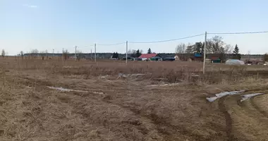 Plot of land in Pudostskoe selskoe poselenie, Russia