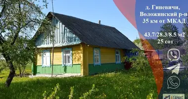 House in Viazynka, Belarus