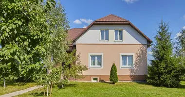 House in Krupicki sielski Saviet, Belarus