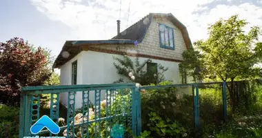 House in Ulukauski sielski Saviet, Belarus