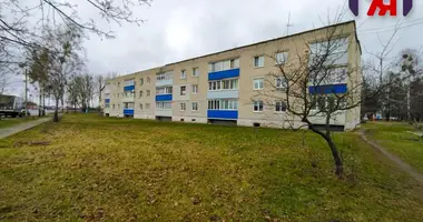 3 room apartment in Starobin, Belarus