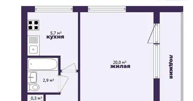 1 room apartment in Minsk, Belarus