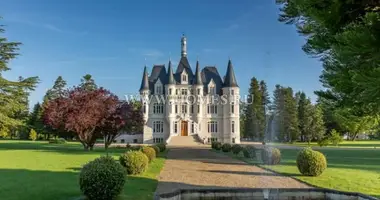 Castillo 6 habitaciones en Francia