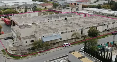 Entrepôt 5 820 m² dans Nicosie, Bases souveraines britanniques