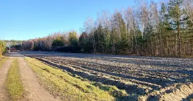 Terrain dans Otwock, Pologne