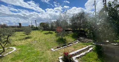 House in Lushnja, Albania