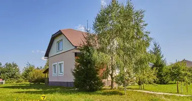 Haus in Krupicki sielski Saviet, Belarus