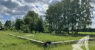 Plot of land in Malyja Radvanicy, Belarus