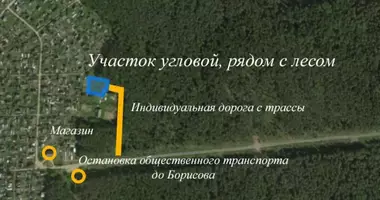 Plot of land in Pryharadny sielski Saviet, Belarus