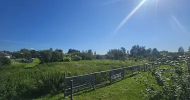 Terrain dans Samachvalavicki sielski Saviet, Bélarus