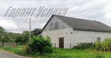 House in Zhabinka, Belarus