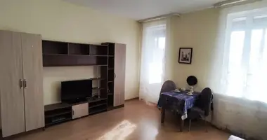 Apartamento con Amueblado, con Internet, con Frigorífico en Nevsky District, Rusia