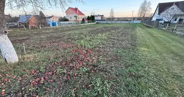 Działka w Fanipal ski siel ski Saviet, Białoruś