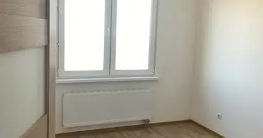 Apartamento 1 habitación en okrug Polyustrovo, Rusia