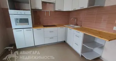 3 bedroom apartment in Minsk, Belarus