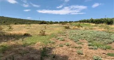 Terrain dans Polygyros, Grèce