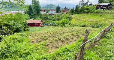 Участок земли в Тхилнари, Грузия