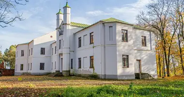 Коммерческое помещение 1 142 м² в Смиловичи, Беларусь