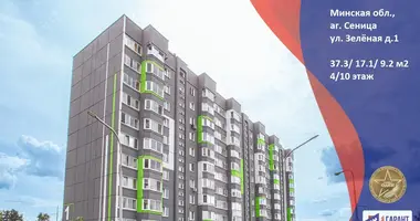 Mieszkanie 1 pokój w Siennica, Białoruś