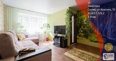 1 room apartment in Minsk, Belarus