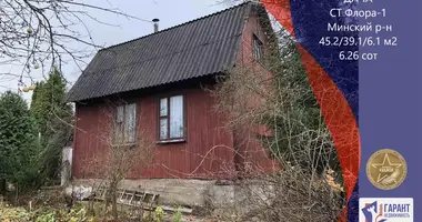 House in Papiarnianski sielski Saviet, Belarus