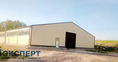 Magazyn 630 m² w Stare Sioło, Białoruś