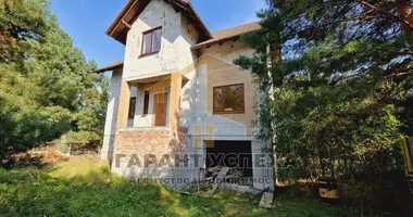 House in Kliejnikauski sielski Saviet, Belarus