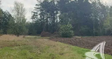 Grundstück in Recycki sielski Saviet, Belarus