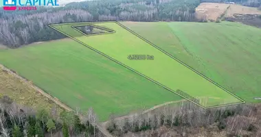 Grundstück in Toliskes, Litauen