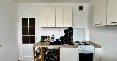 1 room apartment in Minsk, Belarus