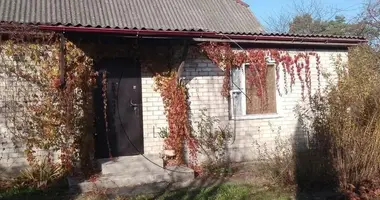 Haus in Lepleuka, Weißrussland