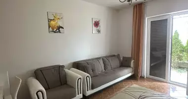 Wohnung 1 Zimmer in Topla, Montenegro