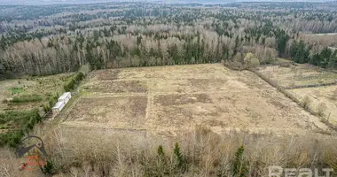 Plot of land in Putcynski sielski Saviet, Belarus